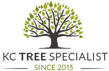 KC Tree Specialist Logo