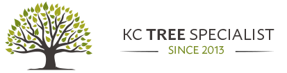 KC Tree Specialist Logo